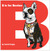 B is for Boston Terrier