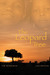 The Leopard Tree by Tim Merriman, Lisa Brochu