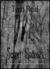 Secret hollows (Mary O'Reil...