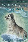 Spirit Wolf (Wolves of the Beyond, #5)