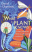 What a Plant Knows: The Hidden Senses of Your Garden - and Beyond (Paperback)