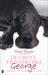 De grote vriendelijke George (Paperback)