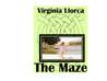 The Maze (MacLaren's Women 3)