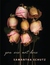 You Are Not Here (Paperback)