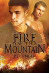 Fire on the Mountain (Mountain, #1)