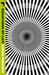 Equations of Life (Paperback)