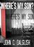 Where's My Son? (Jason Strong Detective #1)