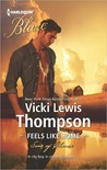 Feels Like Home (Sons of Chance, #9)