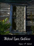 Behind Lace Curtains by Suzanne M. Synborski