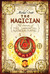 The Magician (The Secrets of the Immortal Nicholas Flamel, #2)