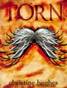Torn by Christine  Hughes