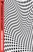 Theories of Flight (Samuil ...