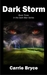 Dark Storm by Carrie Bryce Dark Storm by Carrie Bryce