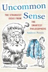 Uncommon Sense by Andrew Pessin