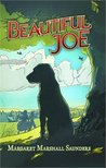 Beautiful Joe