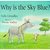Why is the sky blue? (Paperback)