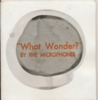 What Wonder: Collected Songs & Plays