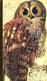 Book Of British Birds by Reader's Digest Association