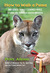 How to Walk a Puma: And Other Things I Learned While Stumbling through South America (ebook)