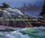 Canada's Raincoast at Risk:...