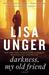 Darkness, My Old Friend (The Hollows, #2)
