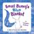 Small Bunny's Blue Blanket (Hardcover)