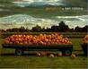 Pumpkins -- APPLE