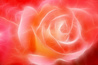 Dark Valentine Dark Valentine
