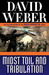 Midst Toil and Tribulation (Safehold, #6)