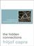 The Hidden Connections (Paperback)