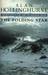 The Folding Star (Paperback)