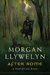 After Rome by Morgan Llywelyn After Rome by Morgan Llywelyn