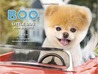 Boo: Little Dog in the Big City Boo: Little Dog in the Big City