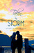 Taken by Storm (Paperback)