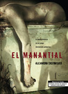El manantial by Alejandro Castroguer