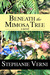 Beneath the Mimosa Tree