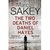 The Two Deaths of Daniel Hayes (Hardcover)