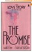THE PROMISE. (Paperback)