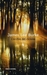 L'occhio del ciclone (Hardcover)