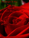Origin of a Rose