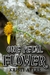 One Petal Flower by Kristi Ayers One Petal Flower by Kristi Ayers