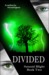 Divided by Kimberly Montague Divided by Kimberly Montague