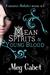 Mean Spirits & Young Blood by Meg Cabot Mean Spirits & Young Blood by Meg Cabot