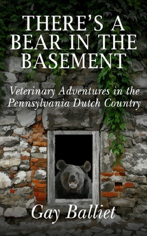 There's A Bear in the Basement