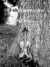 Fiddlesticks