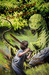 Land of Nod, The Artifact (Paperback)