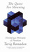 The Quest For Meaning (Paperback)