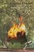 Catastrophe Theory by Susan Yount