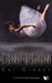 Confusion (Paperback)