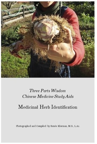 Chinese Medicinal Herb Identification